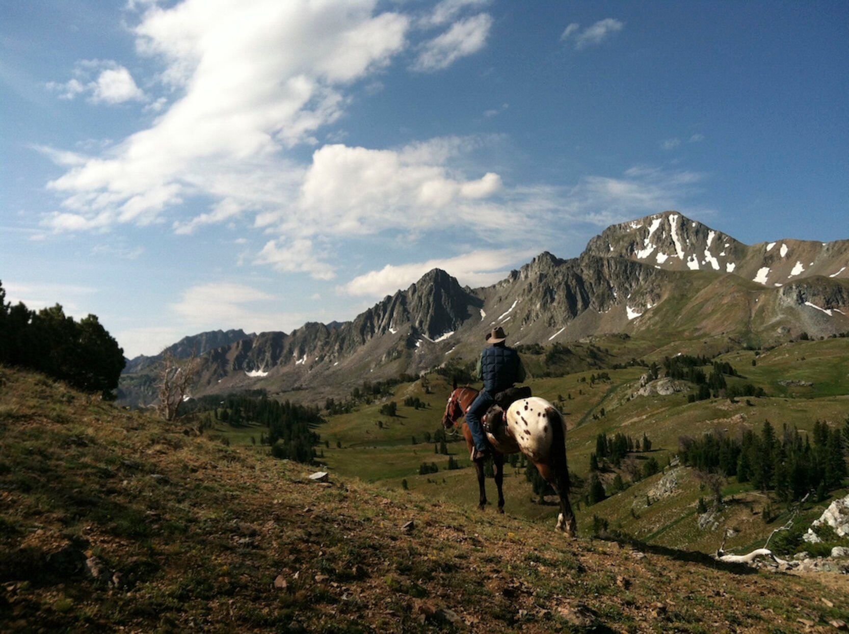 Nine Quarter Circle Ranch